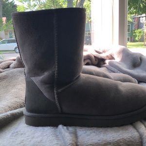 Classic Short Ugg Boots (grey)